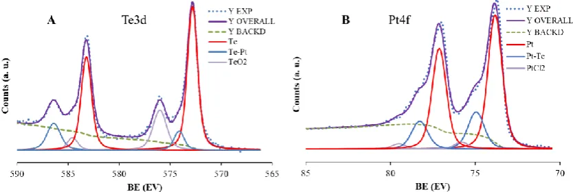 Figure 2. Typical TEM image of TeNTs/PtNPs composite nanostructures (b) along with selected area diffraction pattern recorded from the extreme tip of the nanotube (a) and nanoparticles assembly (c)
