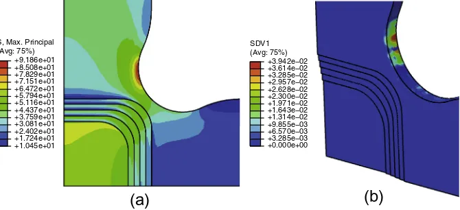 Fig. 5. Experimental modes of failure observed into the cruciform when the macro-crack is fully developed.