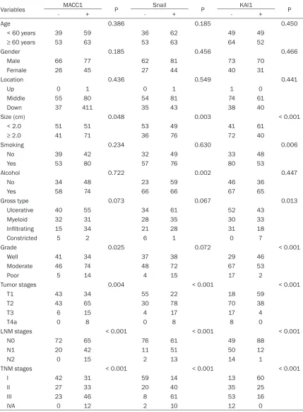 Table 2. The associations between expression of MACC1, Snail, and KAI1 and clinicopathological characteristics of esophageal squamous cell carcinoma (ESCC)