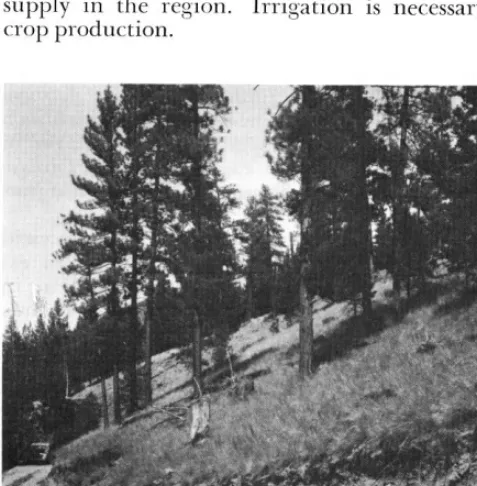 Table 1. Herbage yield (lb./acre oven dry, five-year aver- age) from plots clipped on selected climax plant corn- munities in the Similkameen Valley