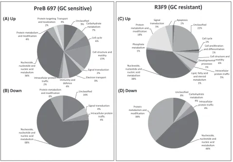 Fig 1. Protein changes in PreB 697 and R3F9 cells in response to dexamethasone treatment