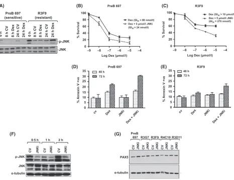 Fig 5. JNK signalling is aberrant in GC-resistant clones and inhibition can re-sensitize