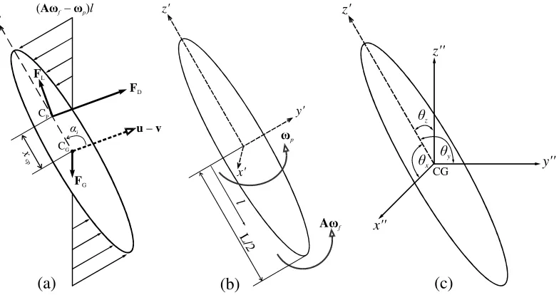 FIG. 2. (a, b) Illustration of torque due to resistance on a rotating particle and the location of the centres