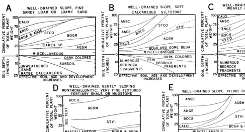 FIG. 2. Relationship of the abundance of common mixed prairie grasses to the development of soils derived from different parent materials on well-drained slopes that do not collect run-in water