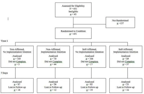 Figure 1  Flow of Participants Through the Experiment 