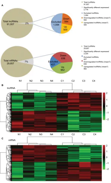 Figure 3 Summary of microarray results.Notes: (A) A total of 91,007 lncRNAs and 29,857 mRNAs were detected, of which 2,178 lncRNAs and 2,225 mRNAs were differentially expressed between two groups (FC >2 and p<0.05)