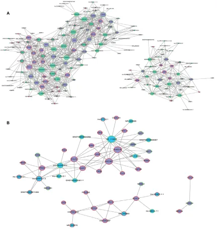 Table 1 Dysregulated lncRNAs associated with ER expression