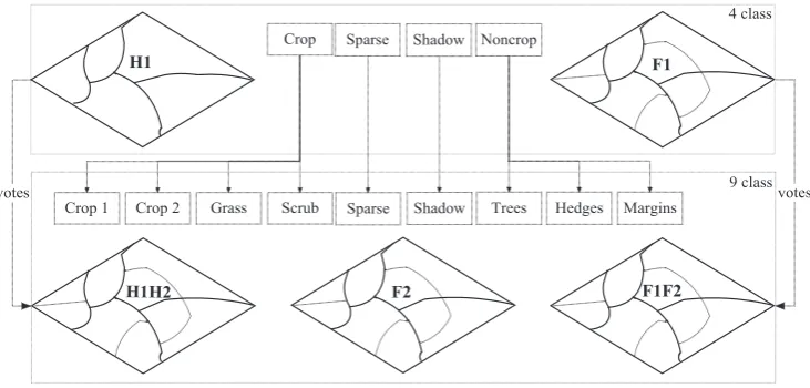 Fig. 3. Schematic of 4 and 9 class structure with classiﬁcation scenarios: H1 and F1 are based on the 4 class structure and H1H2, F1F2 and F2 on the 9 class structure