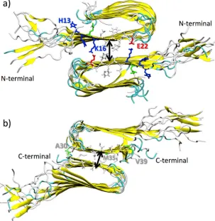 Figure 1. Cartoon representation of double-layered structures of Aβ(1-40) oligomers facing through their β-1, in a), and β-2 β-sheets, in b)