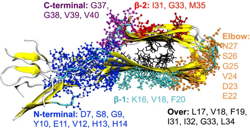 Figure 3: ball-and-stick representation of the ligand binding sites obtained by REMD. Amino-acids (one-letter code) involved in the interactions are reported for each binding site with different colours