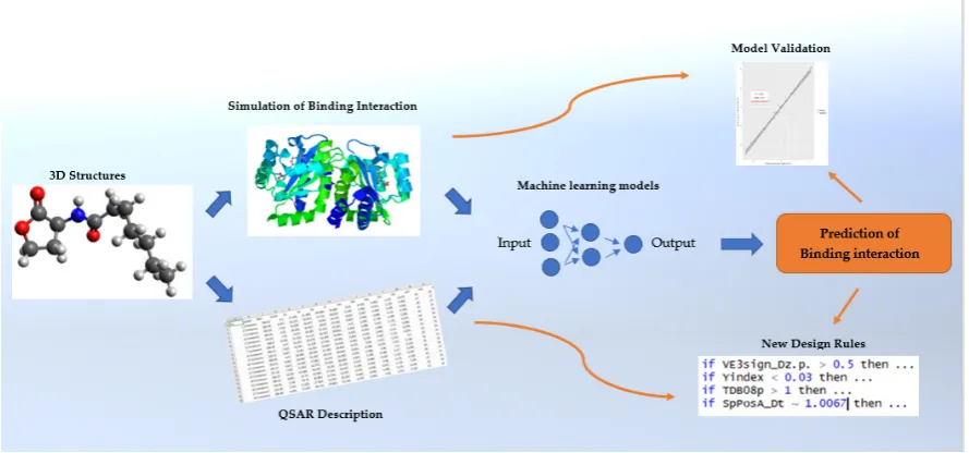 Figure 1. Graphical abstract of this study’s workflow  