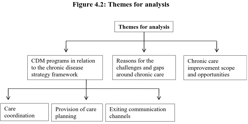 Figure 4.2: Themes for analysis 