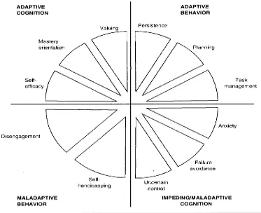 Figure 1. The Student Motivation and Engagement Wheel 