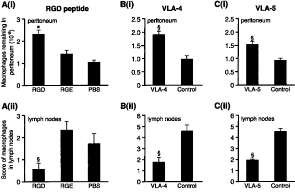 Figure 4.VLA-4 and VLA-5 regulate macrophageRGD, 8 RGE, and 10 PBS. Controls were not differ-ent