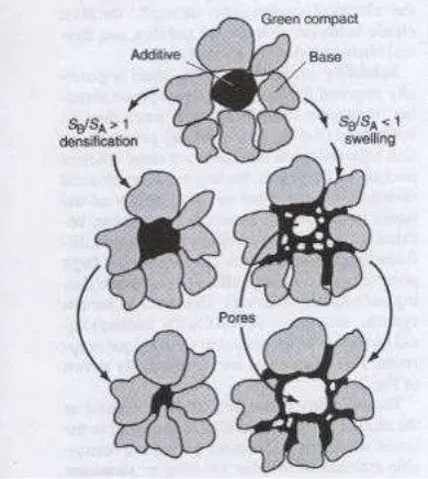 Fig 7. A schematic diagram contrasting the effects of solubility on densification or swelling 