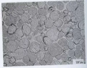 Fig. 8. Typical microstructure of a LPS system with the phase diagram characteristics shown in 