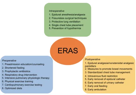 Figure 1 Care elements implemented in the ERAS protocols for lung cancer surgery.Abbreviation: ERAS, enhanced recovery after surgery.