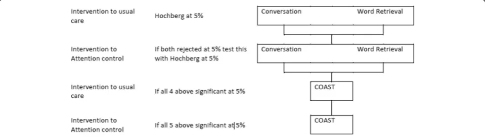 Figure 2 Statistical testing procedure. COAST = Communication Outcomes After Stroke questionnaire.