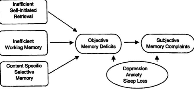 Figure 1. Possible origins of objective and subjective memory deficits 