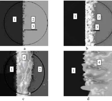 Fig. 2. Stages of vapour gaseous envelope evolution: a –bubble boiling in the VGE; c treatment of the surface micro profile; 1- working electrode; 2  oxygen evolution; b – –microdischarges in the VGE; d – microdischarge – electrolyte; 3 – oxygen (a) and vapour (b) bubbles; 4 – microdischarges [34, 35] 