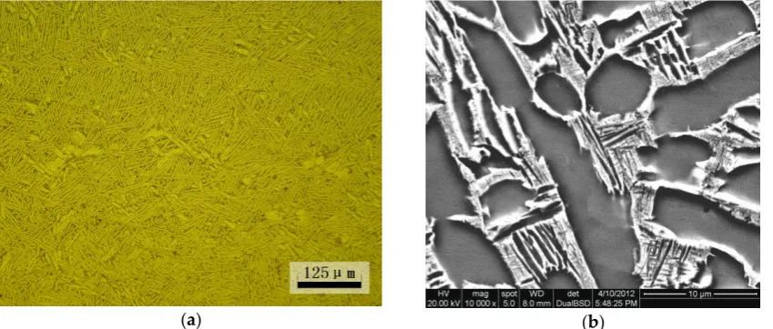 Figure 1. Basketweave microstructures of TC21 titanium alloy: (a) optical micrograph and (b) backscattered electron micrograph