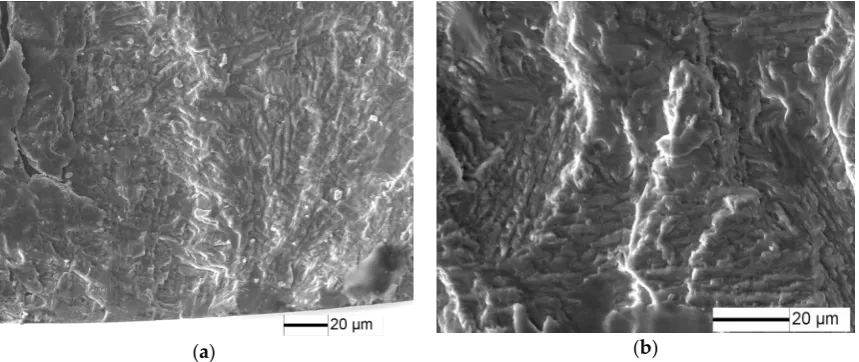 Figure 10. Fracture surface for 5% of LCF pre-damage specimens at σ = 430 MPa and N = 1.48 × 107 cycles: (a) macroscopic morphology, and (b) crack initiation character