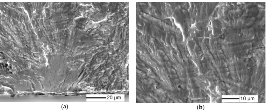 Figure 12. Fracture surface for 20% of LCF pre-damage specimens at σ = 350 MPa and N = 1.35 × 105cycles: (a) crack initiation character, and (b) crack propagation character