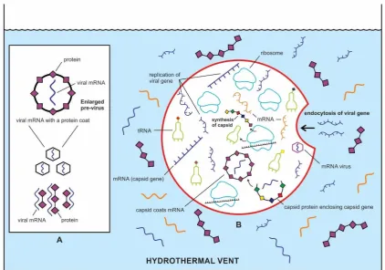 Figure 5.  Beginnings of the ancient viral world in the prebiotic soup in the hydrothermal vent environment, which was an ideal Nature’s genomic laboratory
