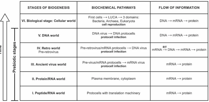 Figure 9. Coevolution of viruses and protocells. Viruses became important vectors for donating critical enzymes and modifying genomes of the protocells during recurrent infection