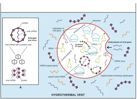 Figure 9.  Beginnings of the ancient viral world in the prebiotic soup in the hydrothermal vent environment, which was an ideal Nature’s genomic laboratory