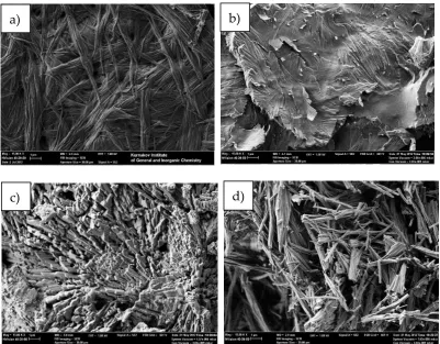 Figure 7. SEM micrographs of dry gel samples made by different methods of solvent removal from benzene@4cb*HCl: bulk xerogel (a), gel coated on the glass surface (b); liquid CO2 washing (c); sc-CO2 washing 