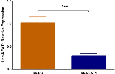 Figure 1. Lnc-NEAT1 expression in NG group, OC group and HG group. Lnc-NEAT1 expression was un-differentiated in OC group compared to NG group, while it was higher in HG group compared to NG group and elevated in HG group compared to OC group