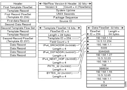 Fig. 1: Example NetFlow v9 Packet