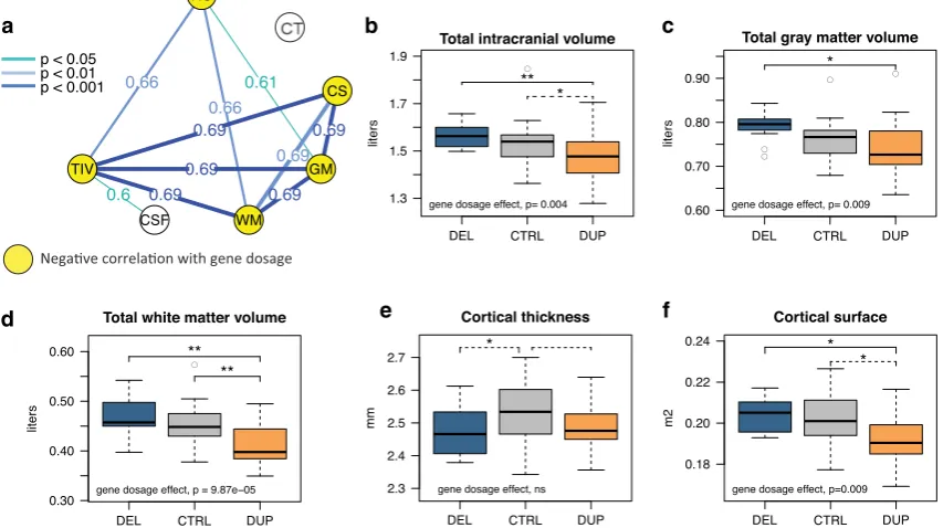 Figure 1.Effects of gene dosage on global brain metrics. (a): Correlation between global brain metrics in 16p11.2 CNV carriers and controls.The intensity of blue lines represents positive r Pearson’s coefﬁcient correlations at different statistical thresho