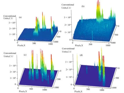 Figure 4. Spatial intensity of FITC fluorescence distribution in antigen-antibody complexes