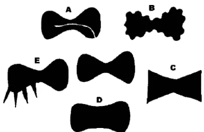 Figure 1.All the ﬁgures A, B, C, D and E are similar to themiddle one, but they differ in different ways