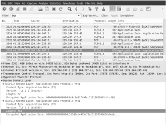 Fig. 1. A captured packet containing the suggest box data.