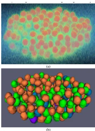 Figure 6image and segmentation resultsVolume and surface rendering of synthesized 3D cell nuclei Volume and surface rendering of synthesized 3D cell nuclei image and segmentation results