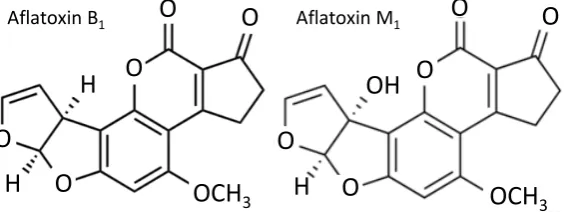 Figure 1. Structures of aflatoxin B1 and aflatoxin M1 (ISTD). 