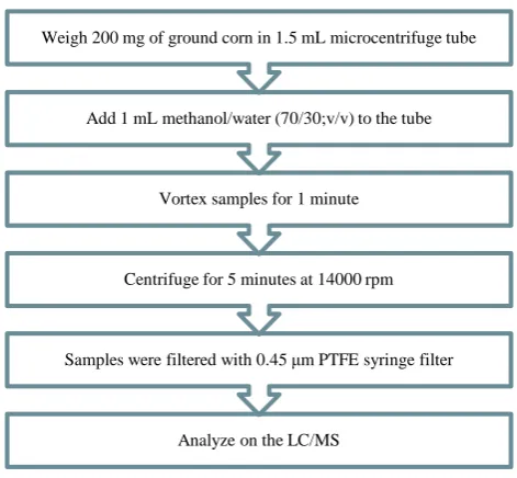 Figure 2. Sample Preparation workflow detailing single kernel aflatoxin extraction.  