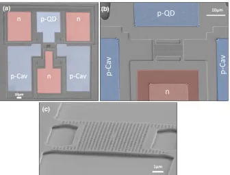 FIG. 2. Scanning electron micrographs(SEMs) of the device showing the con-long bridge