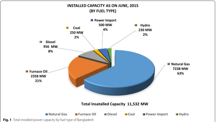 Fig. 1  Total installed power capacity by fuel type of Bangladesh