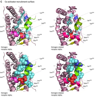Figure 7 Structures of the ligand-binding domains of estrogen receptor alpha and estrogen-related receptor alpha in complex with their ligands