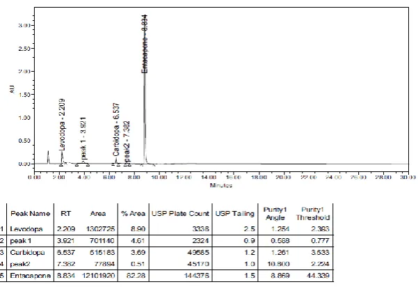Figure 8 Typical Chromatogram for Oxidation Degradation 