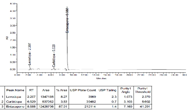 Figure .13 Typical Chromatogram for Natural Degradation 