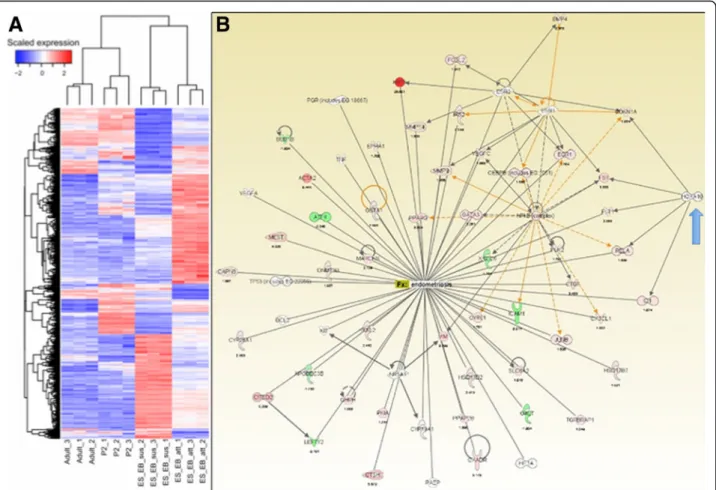 Fig. 5 Microarray analysis of gene expression in EBs. A heat map (a) and IPA gene network (b) reveal the array of genes specific to endometrial and endometriosis development expressed in differentiating EBs