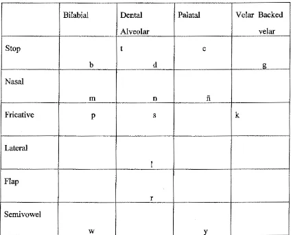 Table 2.1 Consonant phonemes 
