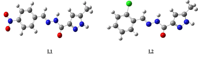 Figure 3. Optimized geometry of L1 and L2. 