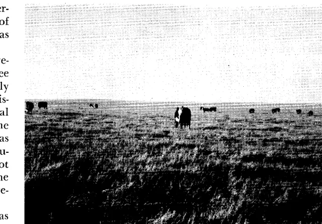 FIG. 3. Indian range lands in the Sioux Country are in good condition and significantly to the economy of the Dakotas