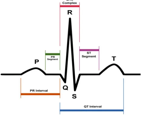 Figure 1: Standard features1 